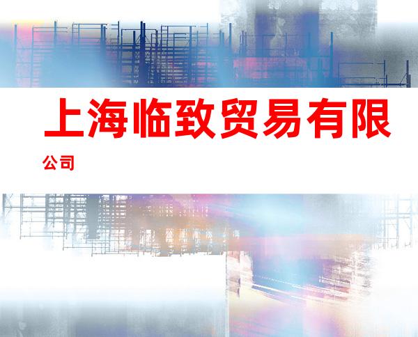 上海临致贸易有限公司